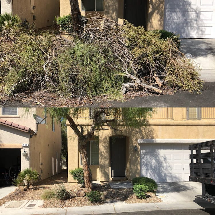 Disaster Cleanup in Las Vegas